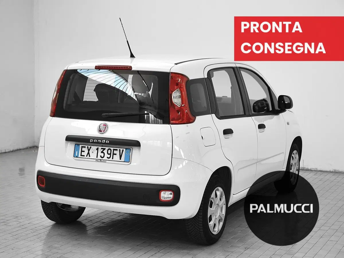 Fiat Panda usata a Prato (2)