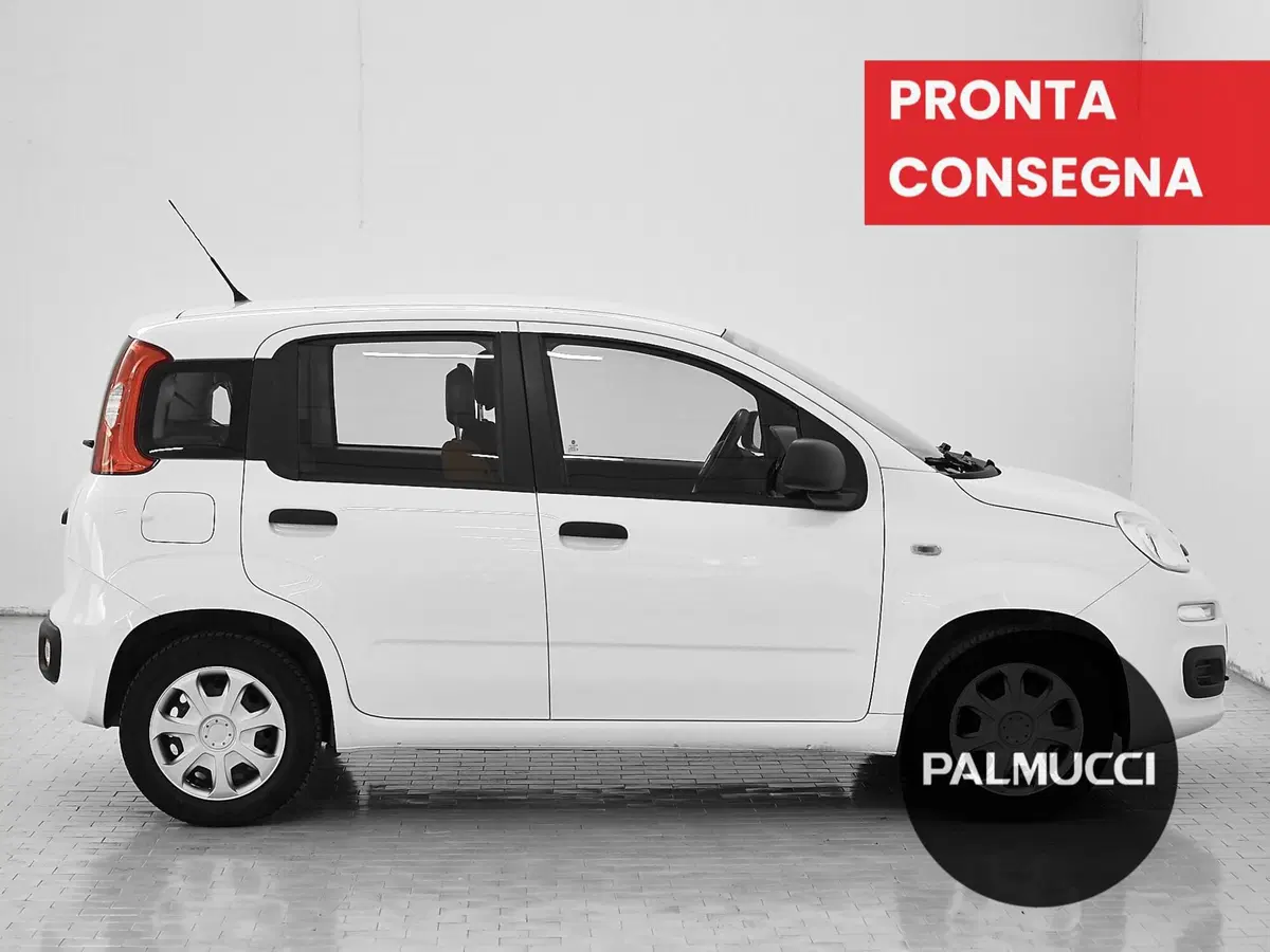 Fiat Panda usata a Prato (4)