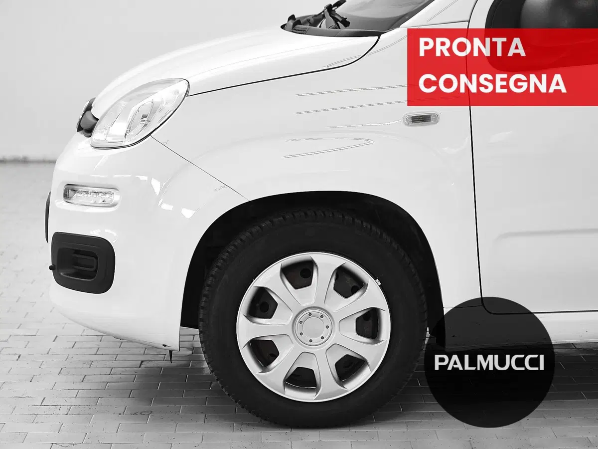 Fiat Panda usata a Prato (7)