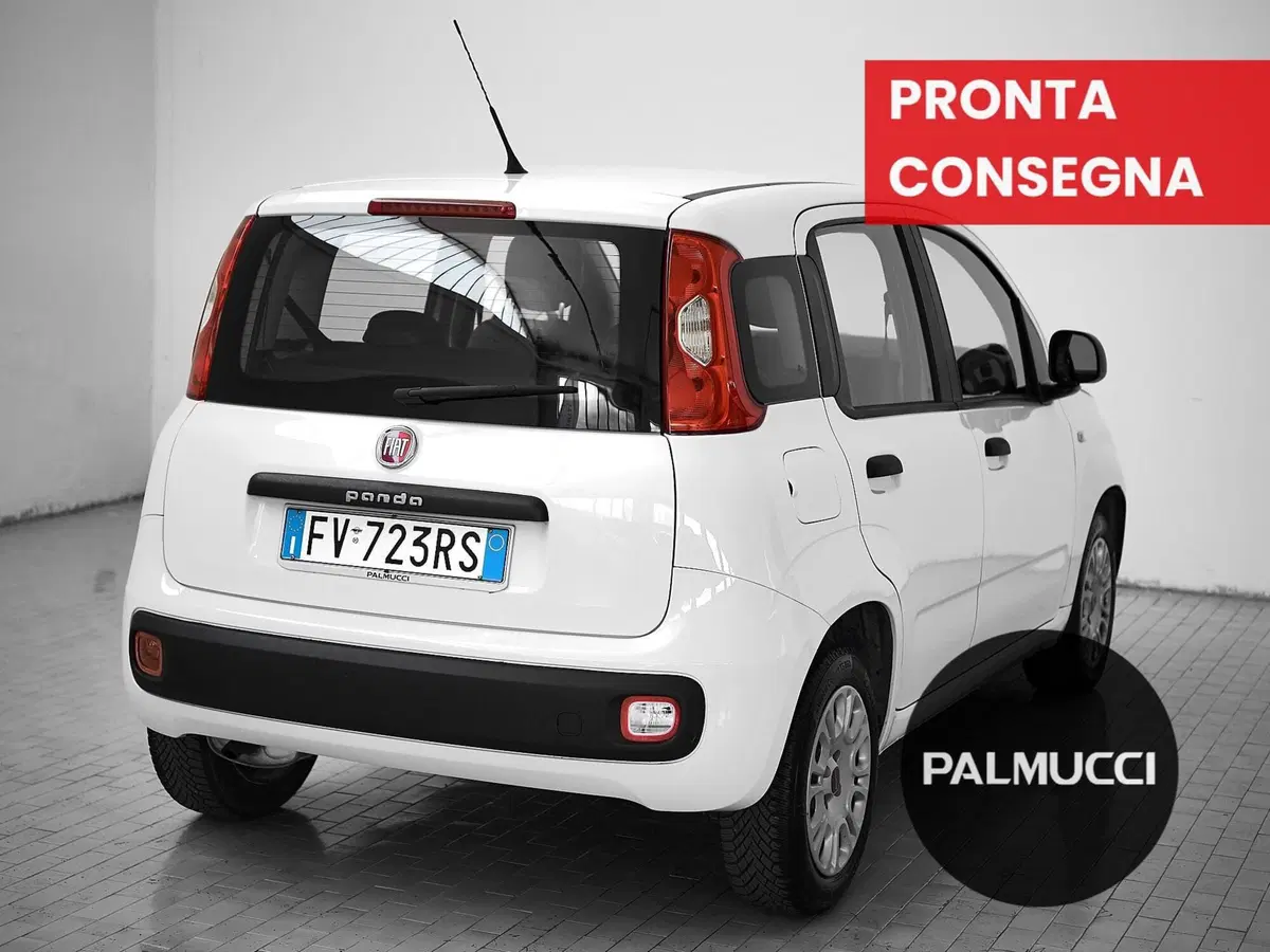 Fiat Panda usata a Prato (3)
