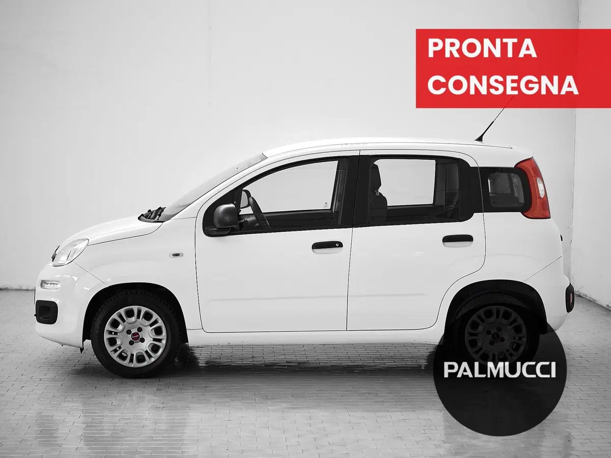 Fiat Panda usata a Prato (4)