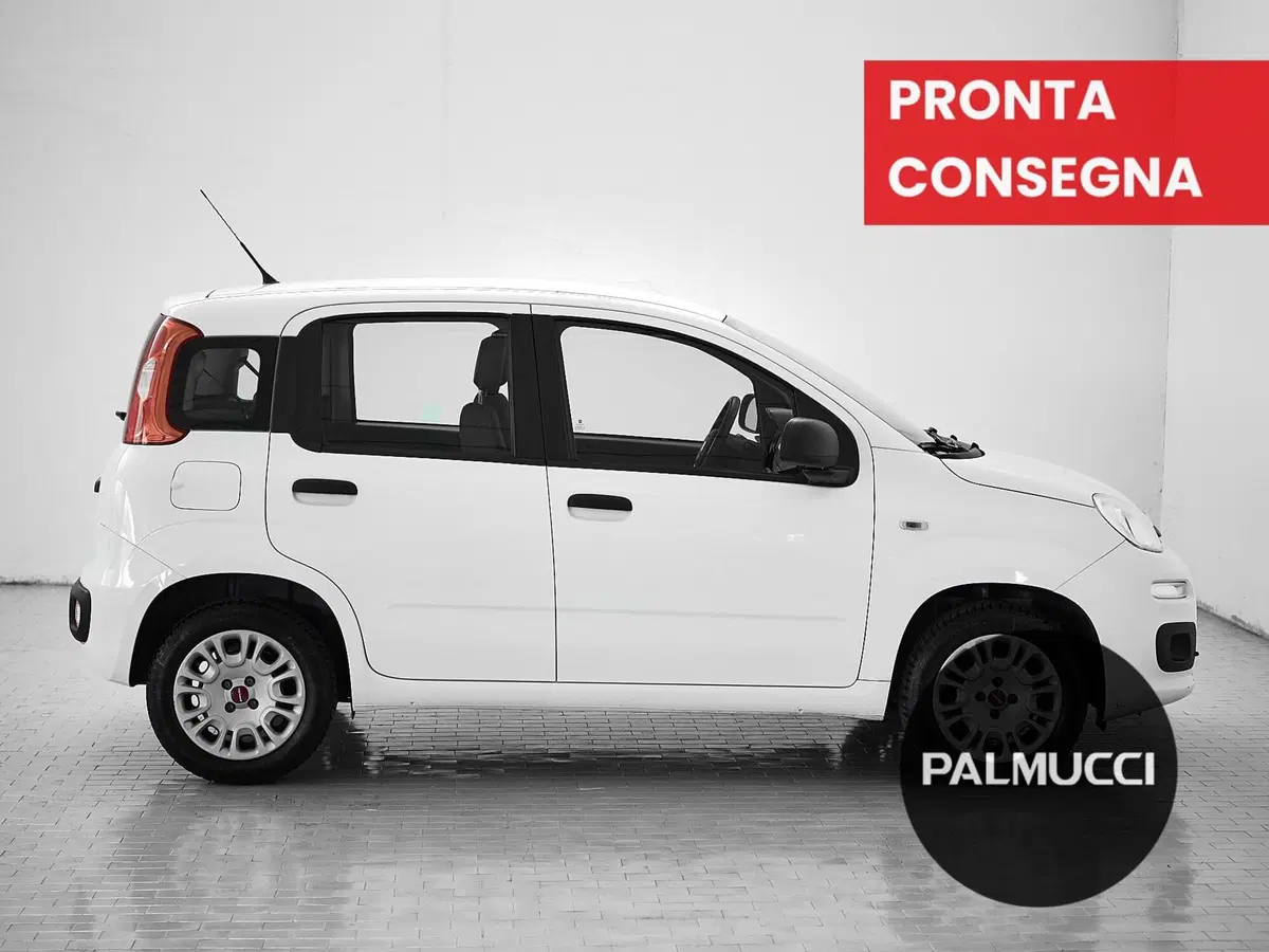 Fiat Panda usata a Prato (5)