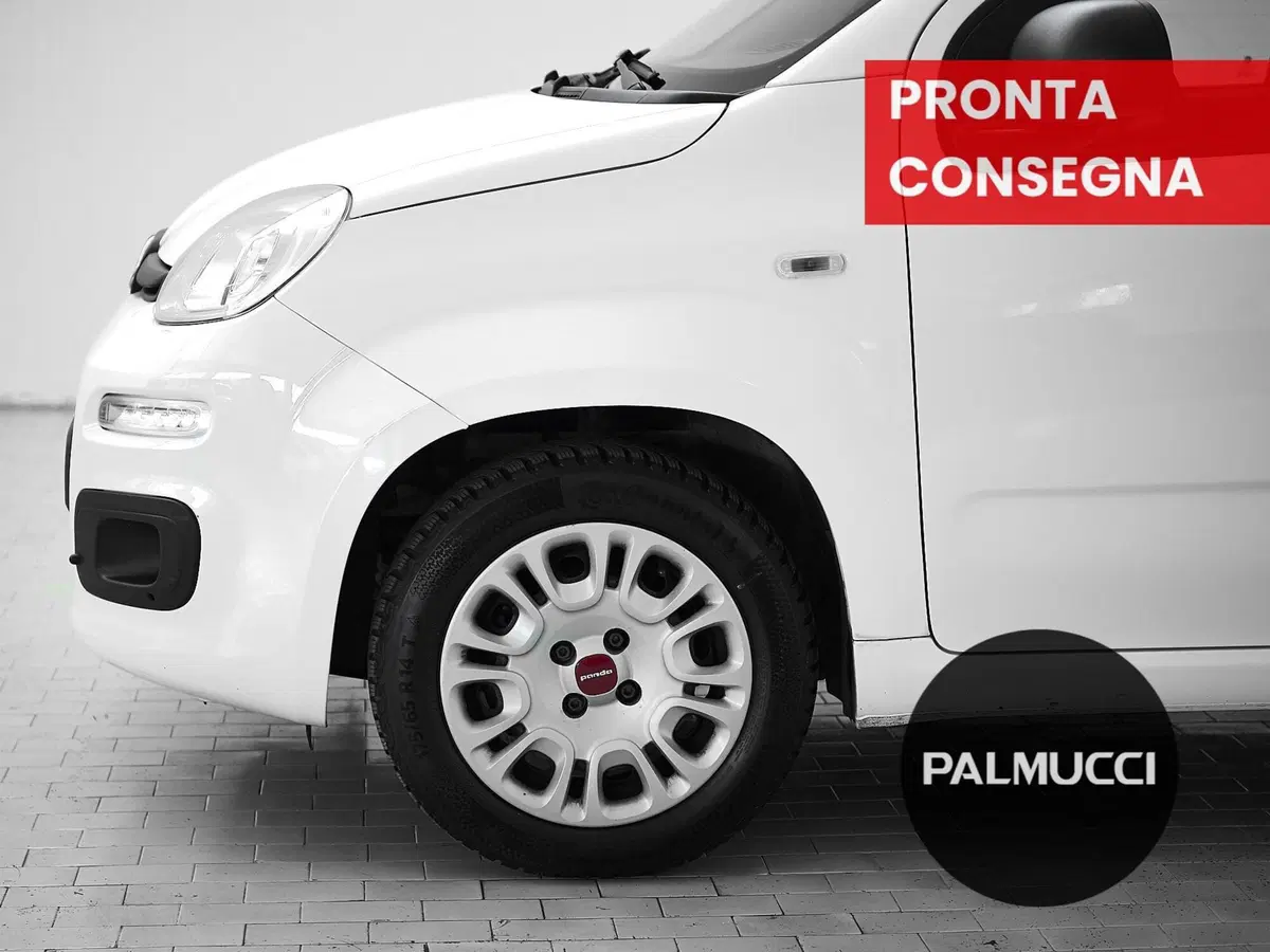 Fiat Panda usata a Prato (7)
