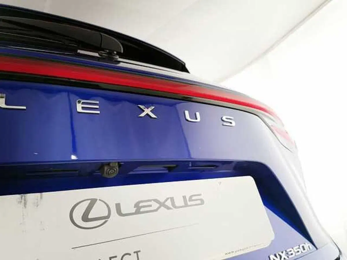 Lexus NX usata a Chieti (11)