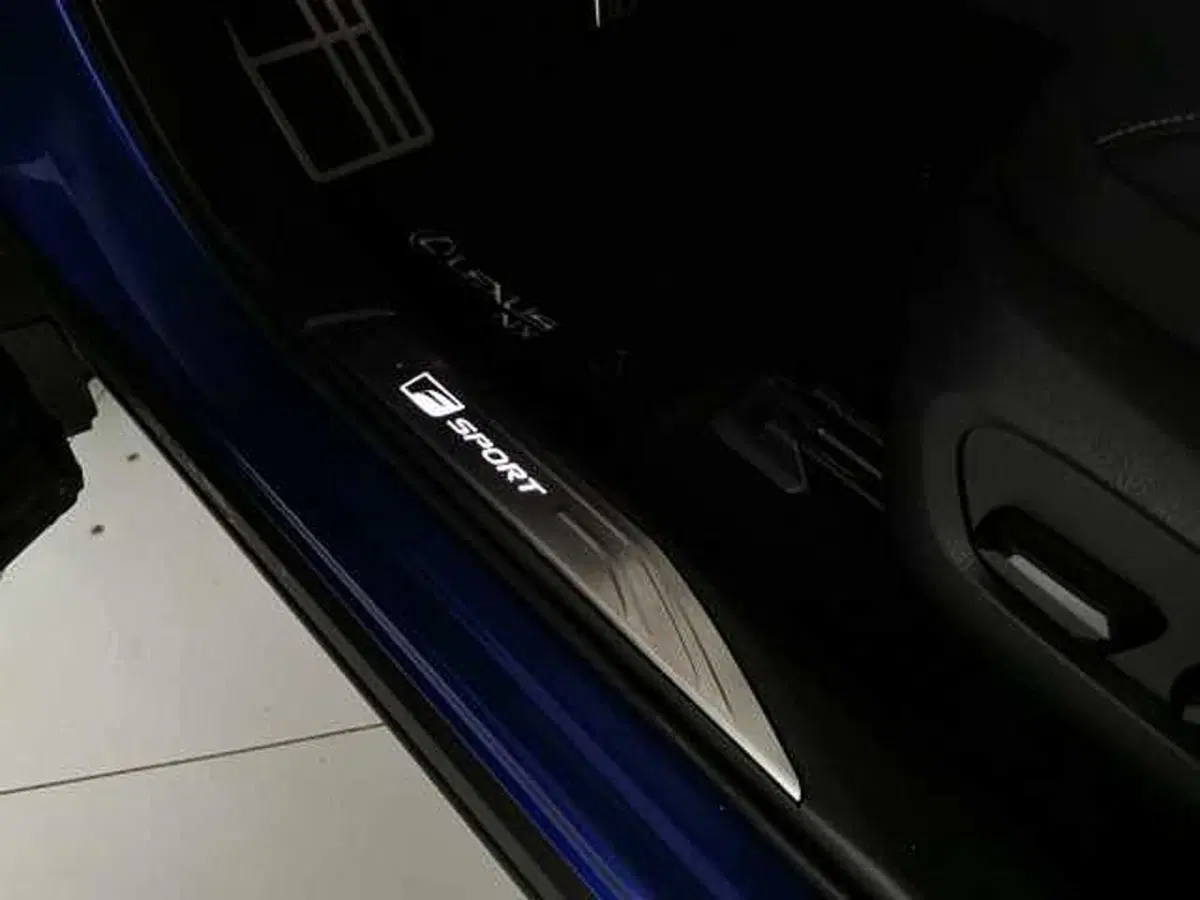 Lexus NX usata a Chieti (16)