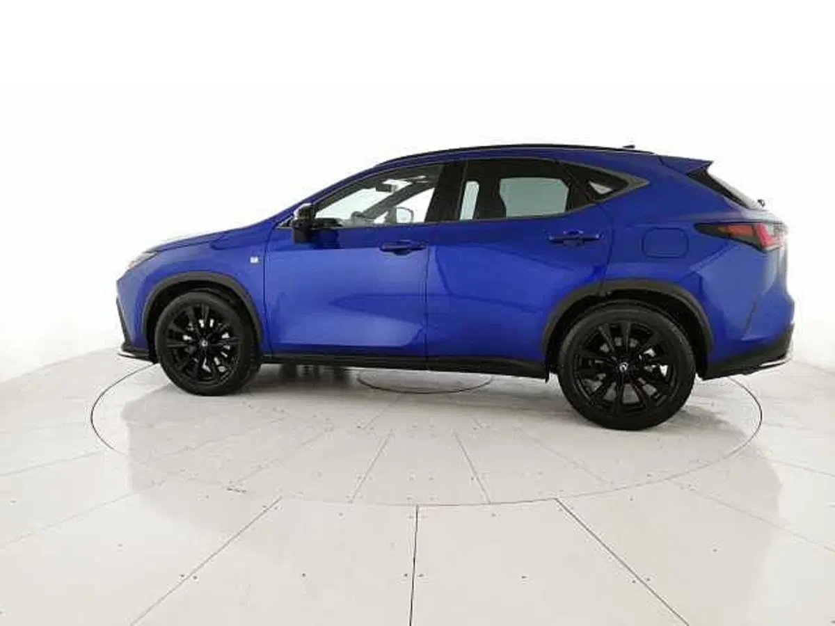 Lexus NX usata a Chieti (2)