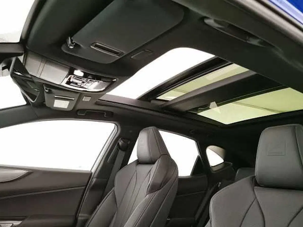 Lexus NX usata a Chieti (20)