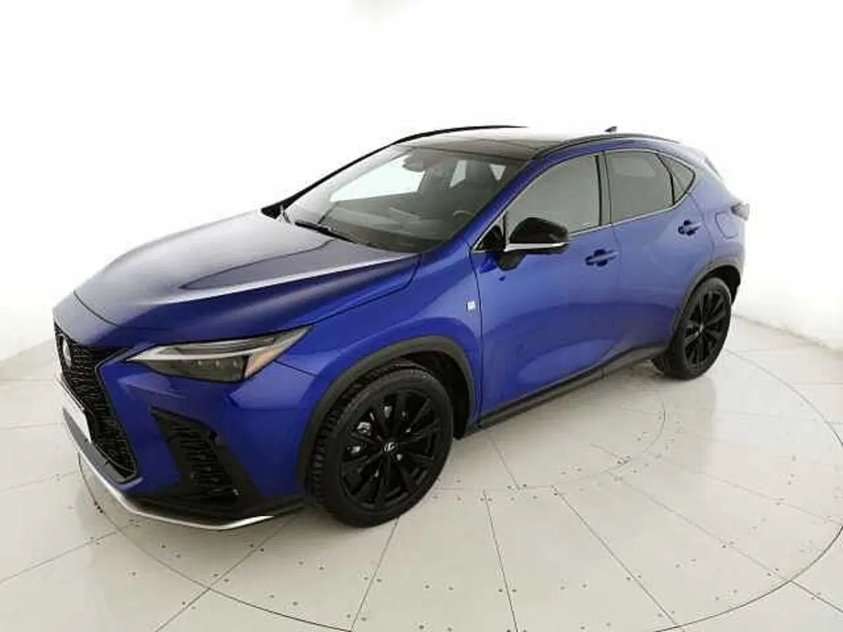 Lexus NX usata a Chieti (6)