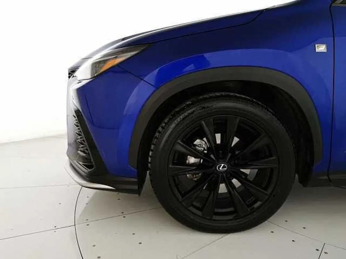 Lexus NX usata a Chieti (7)