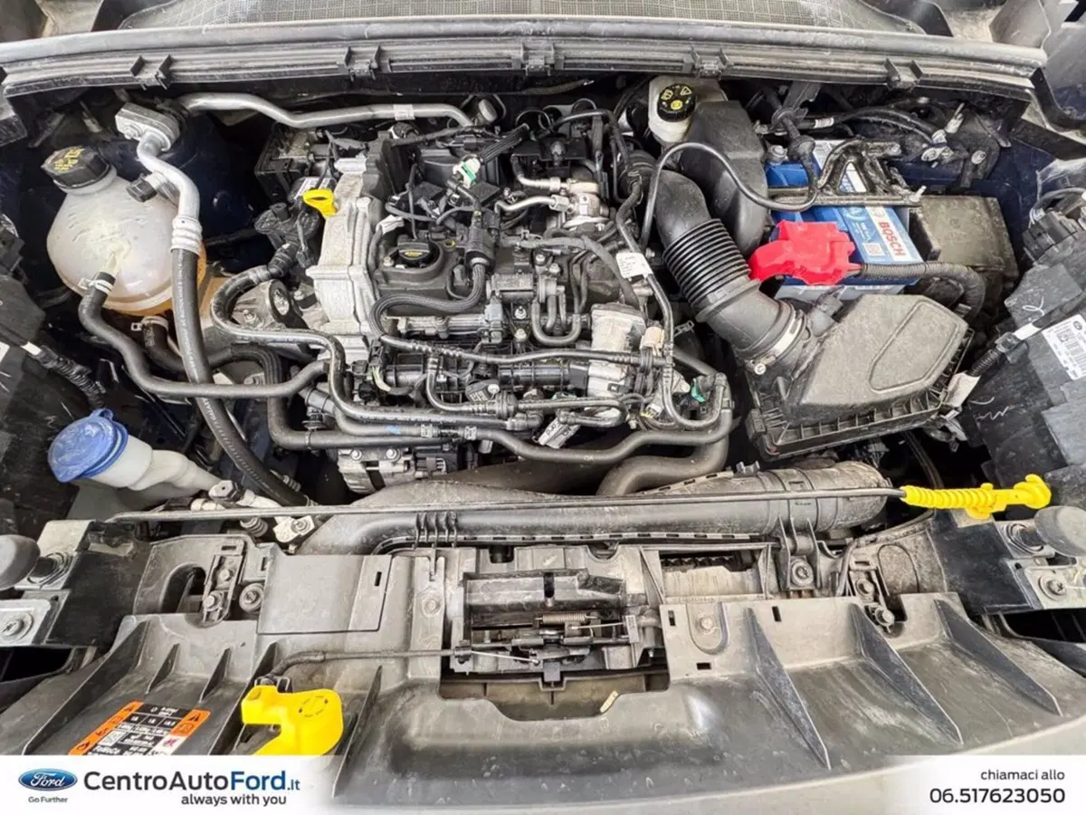 Ford Puma usata a Roma (11)