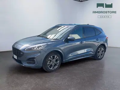 Ford Kuga 2.0 EcoBlue 120 CV aut. 2WD ST-Line X del 2023 usata a Segrate