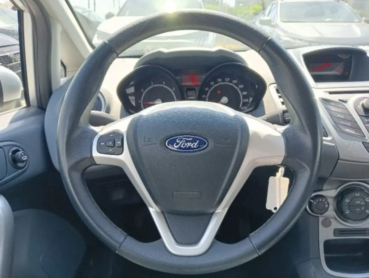 Ford Fiesta usata a Brescia (7)