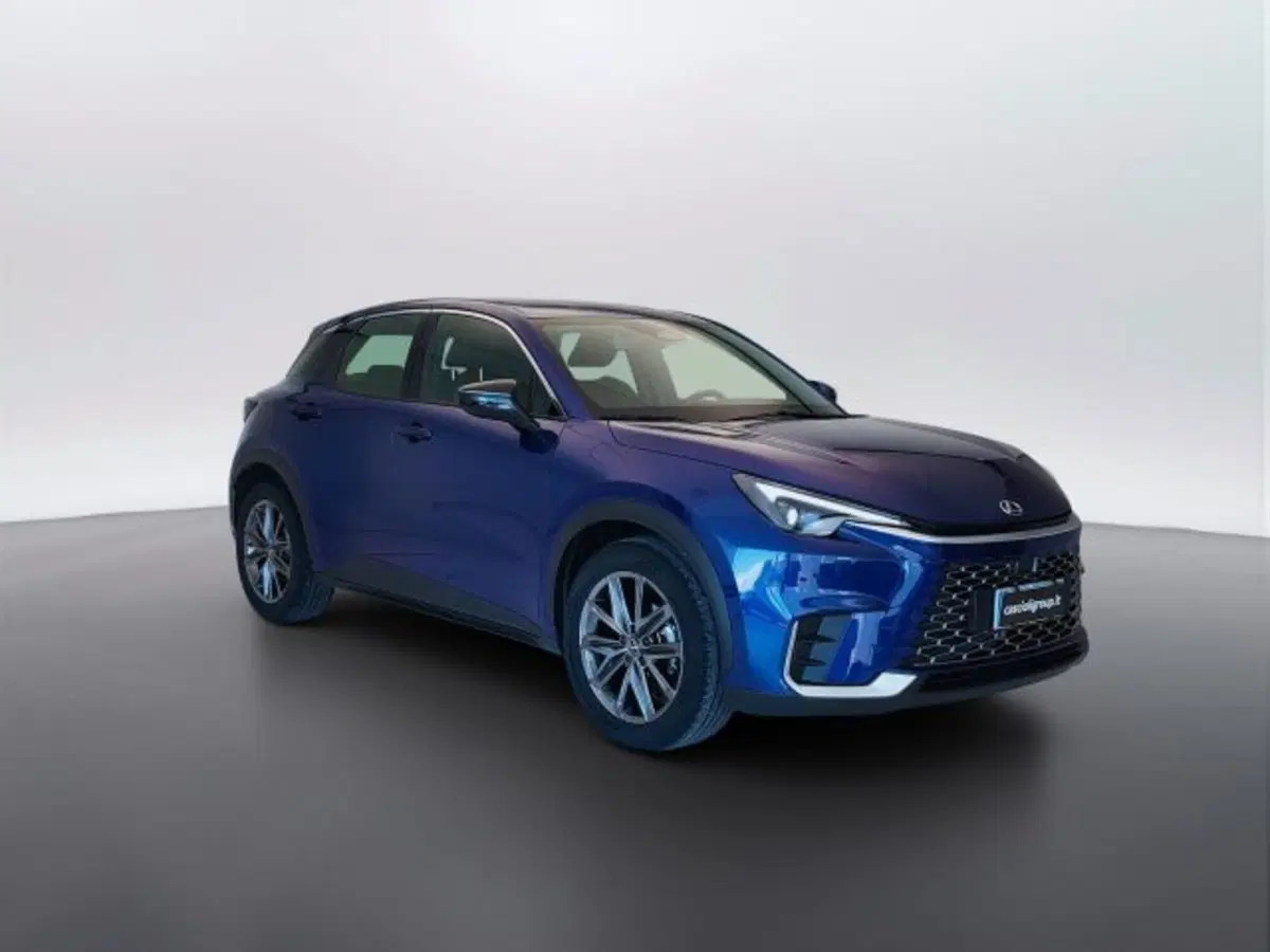 Lexus LBX usata a Teramo (3)