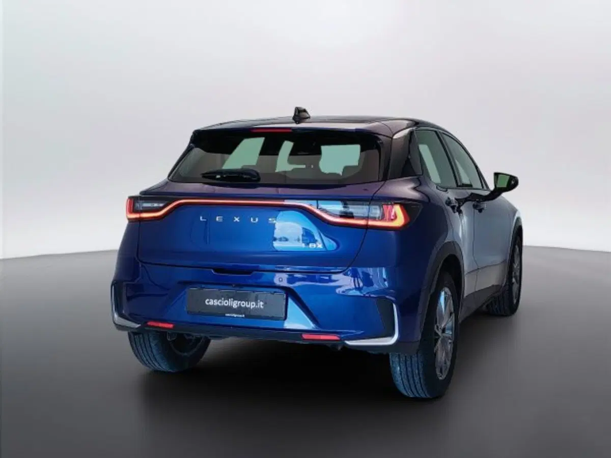 Lexus LBX usata a Teramo (5)