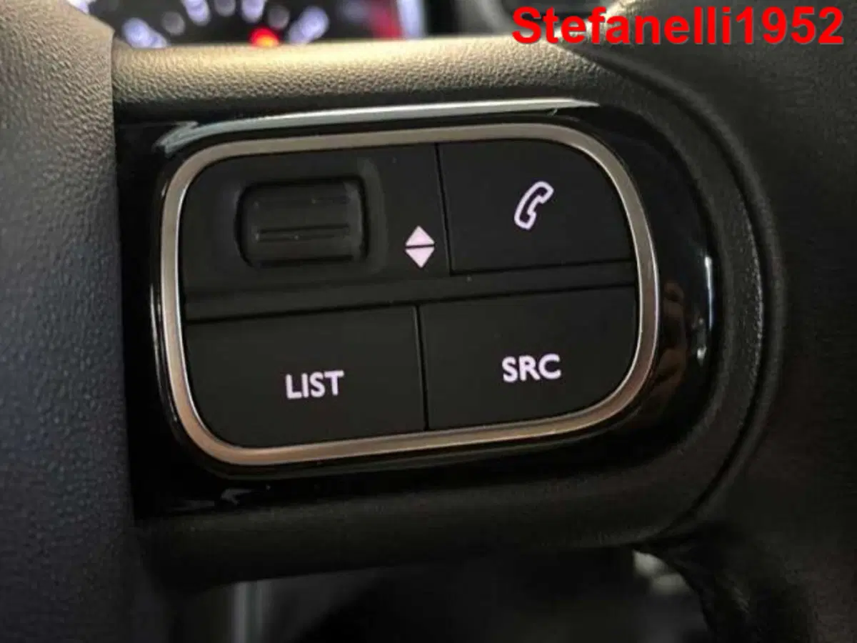 Citroen C3 usata a Bologna (19)