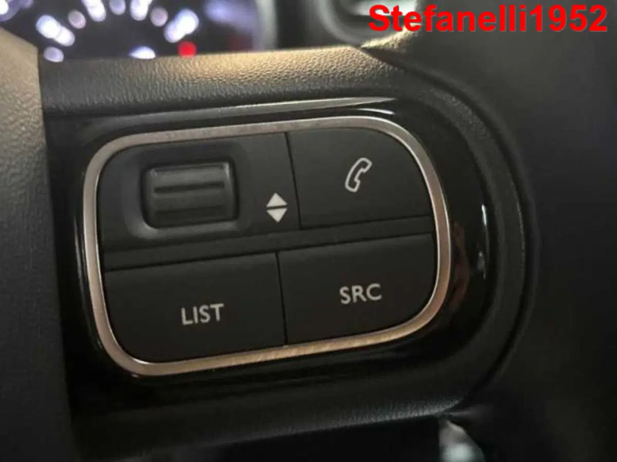 Citroen C3 usata a Bologna (19)