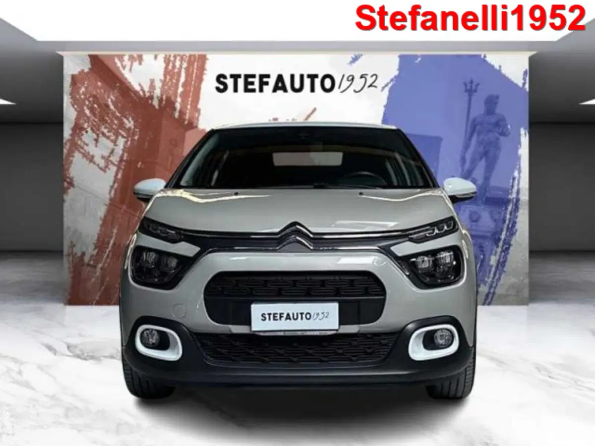 Citroen C3 usata a Bologna (2)