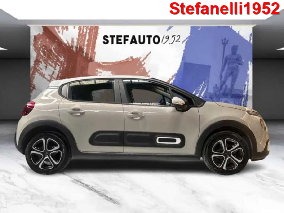 Citroen C3 usata a Bologna (3)