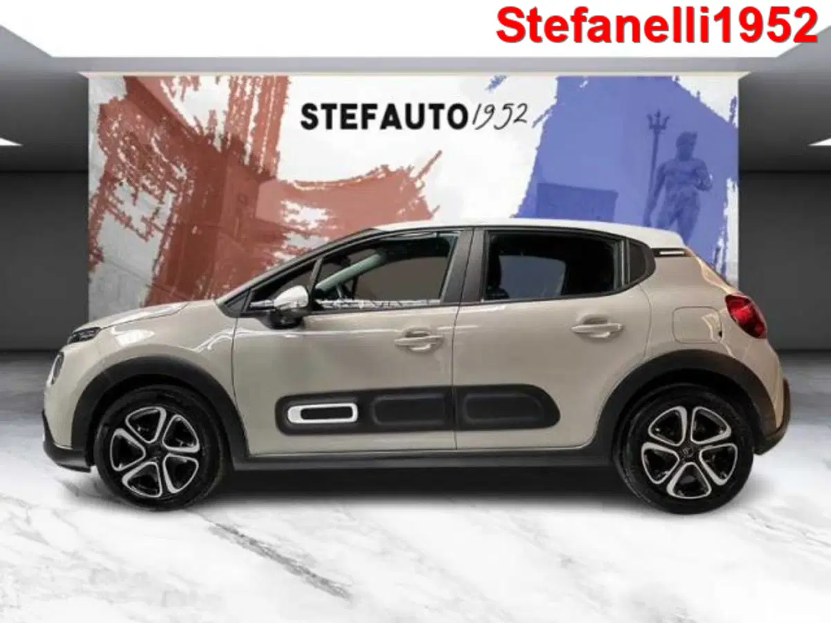 Citroen C3 usata a Bologna (4)