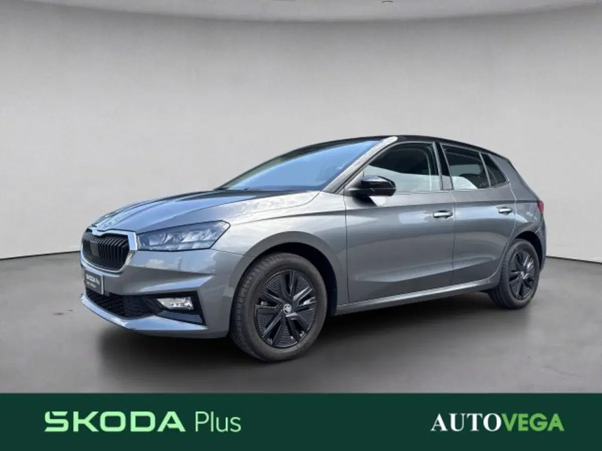 Skoda Fabia usata a Vicenza