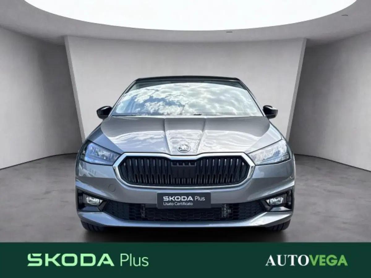 Skoda Fabia usata a Vicenza (2)