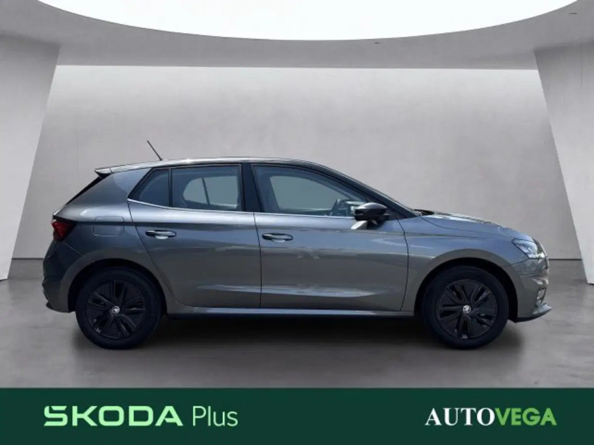 Skoda Fabia usata a Vicenza (3)
