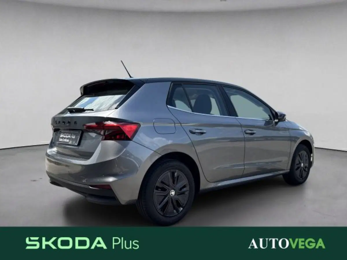 Skoda Fabia usata a Vicenza (4)