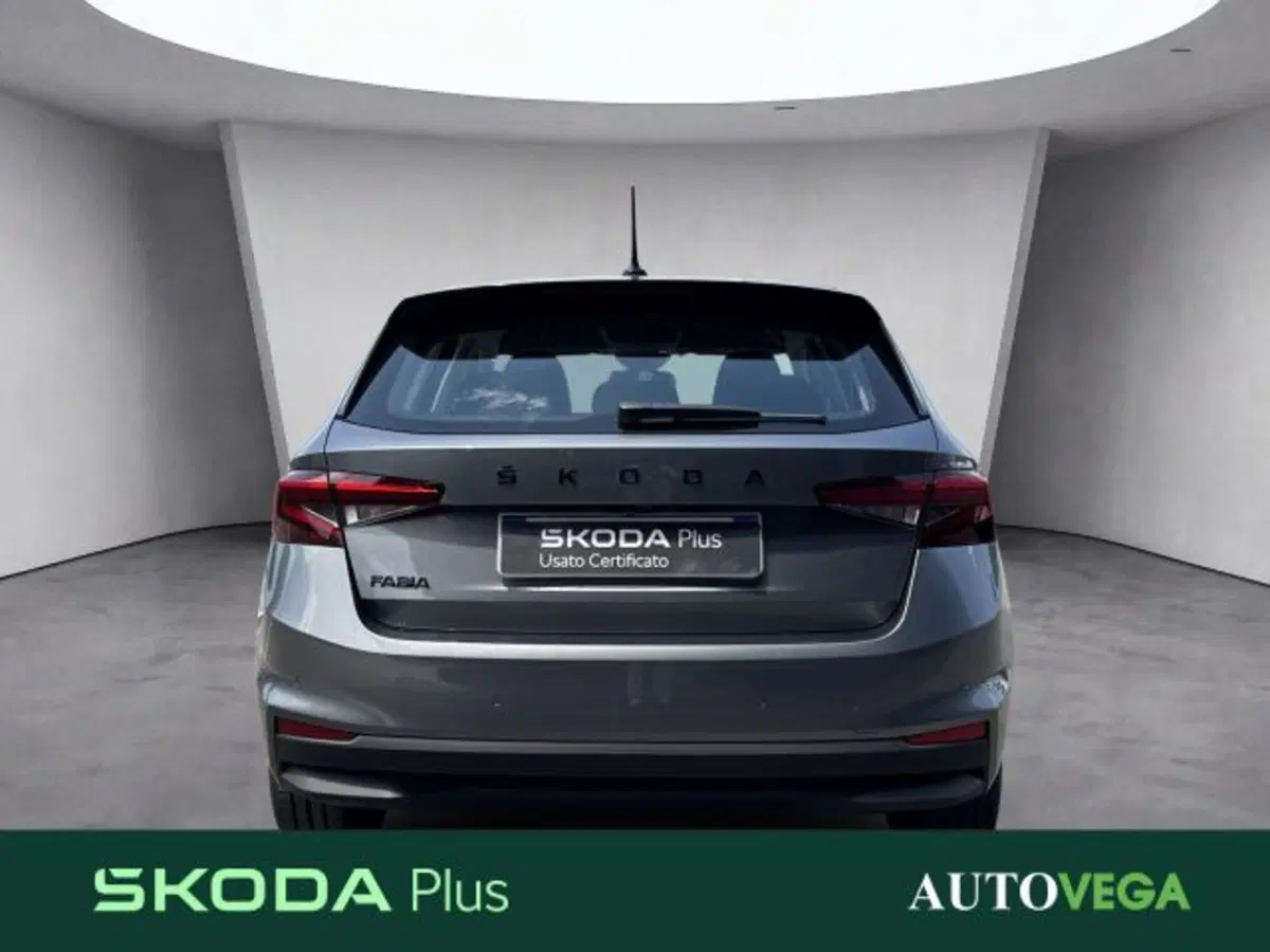 Skoda Fabia usata a Vicenza (5)