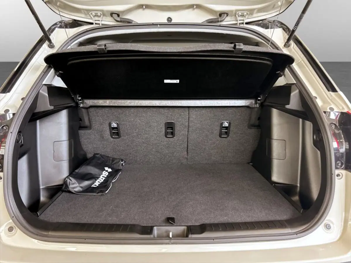 Suzuki Vitara usata a Piacenza (7)