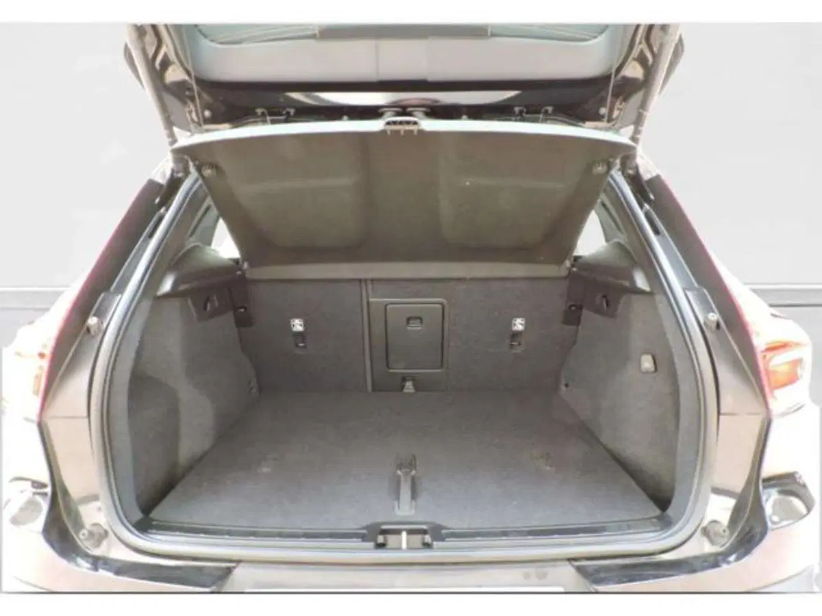 Volvo XC40 usata a Firenze (6)