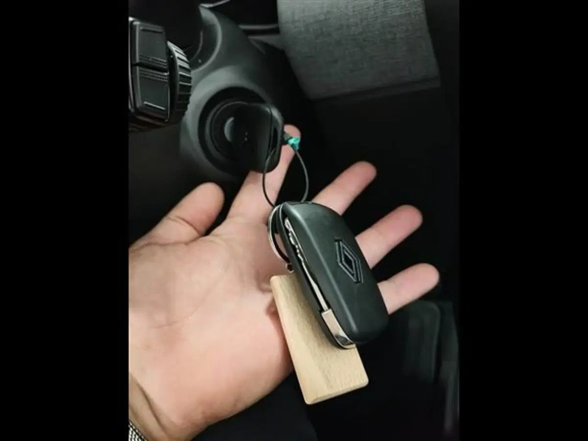 Renault Clio usata a Siena (14)