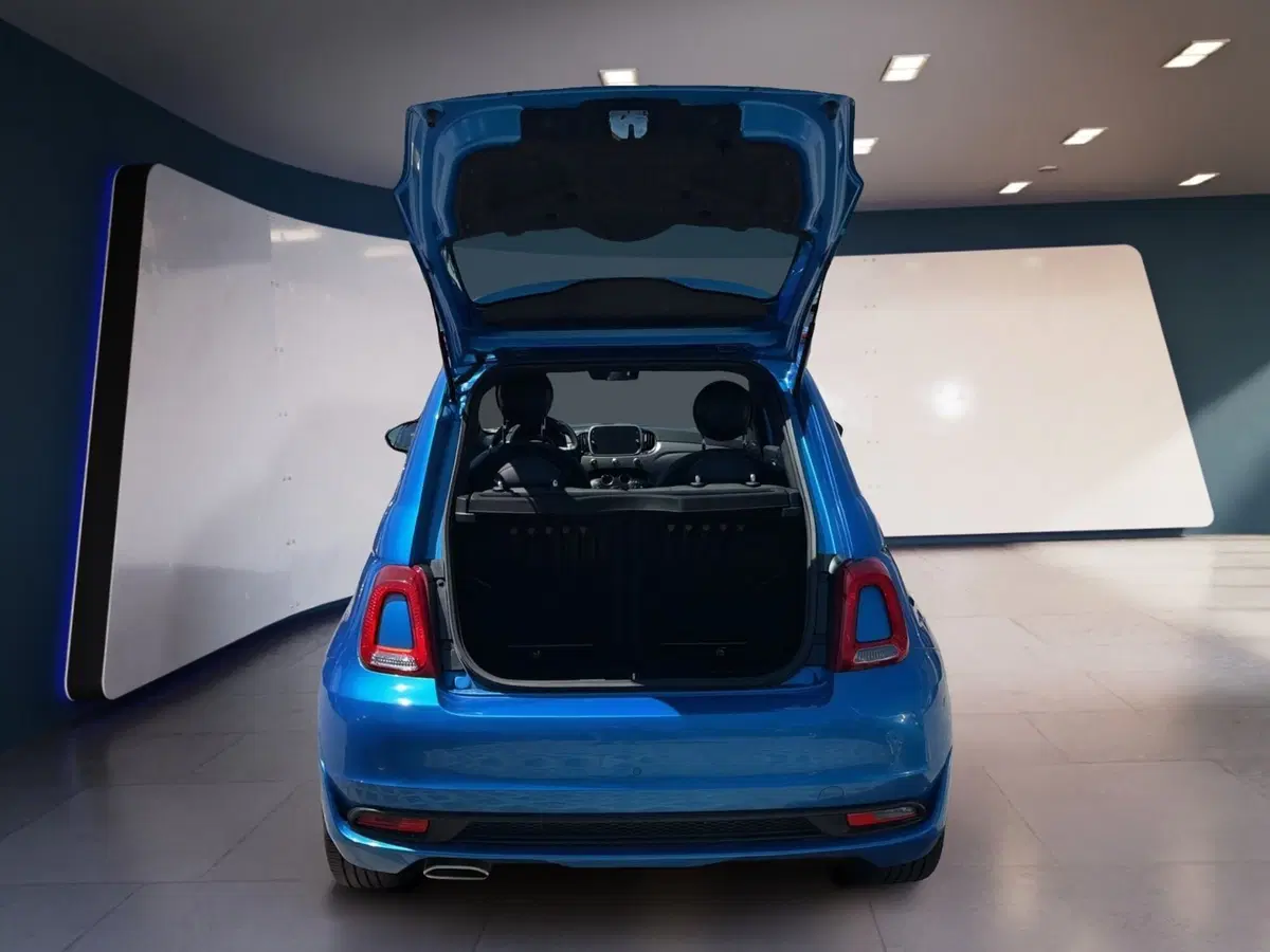 Fiat 500 usata a Torino (8)