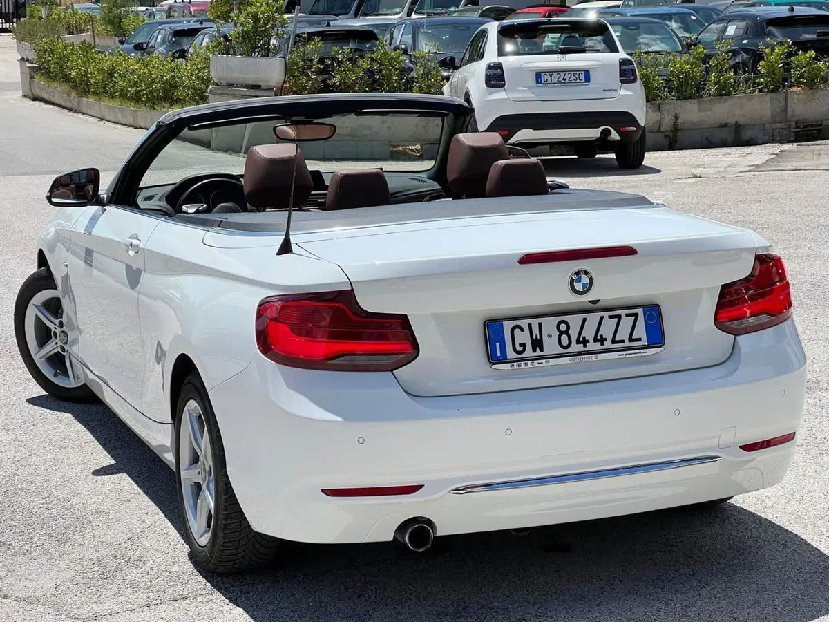 BMW Serie 2 Cabrio usata a Matera (10)
