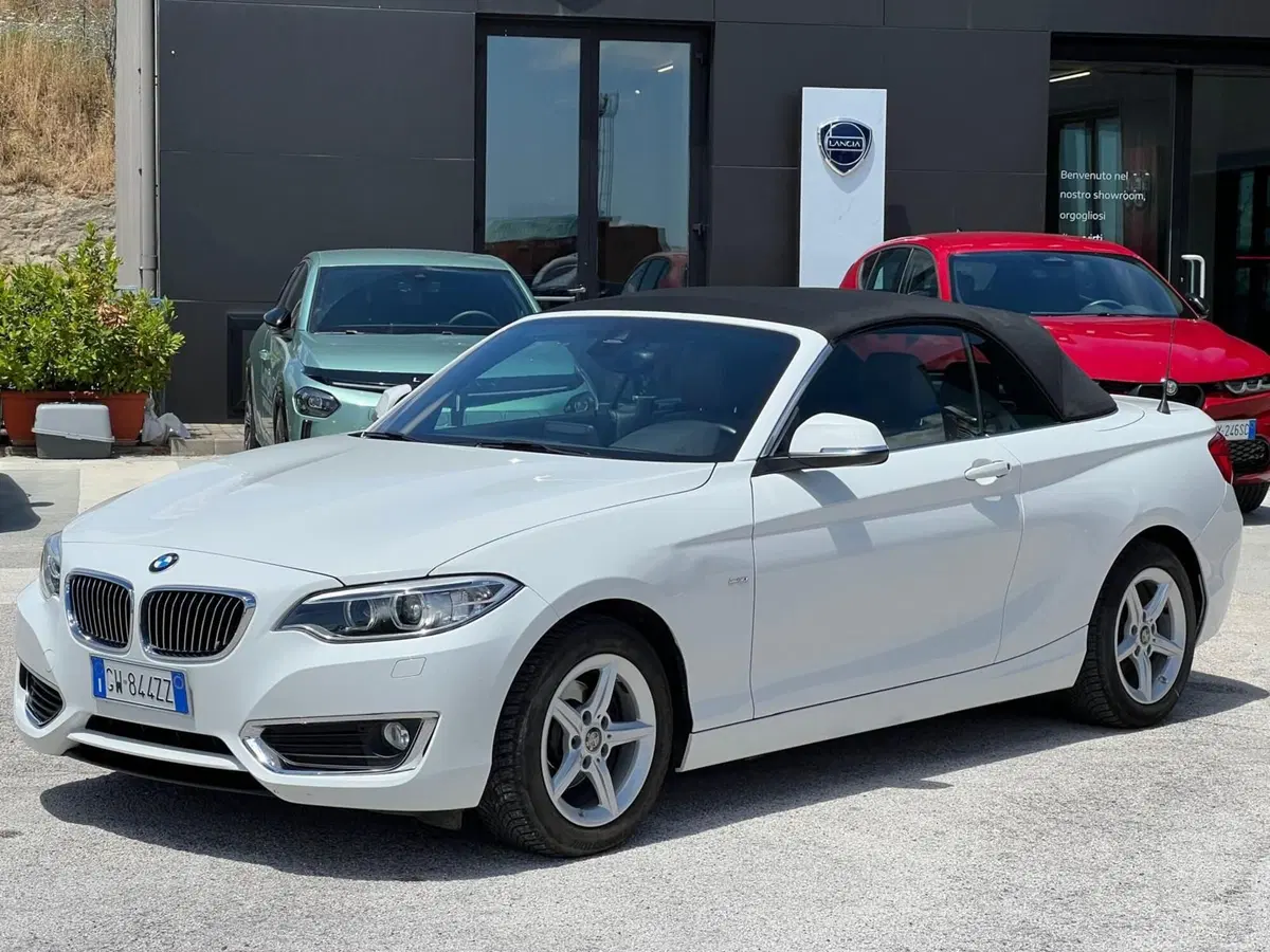 BMW Serie 2 Cabrio usata a Matera (14)