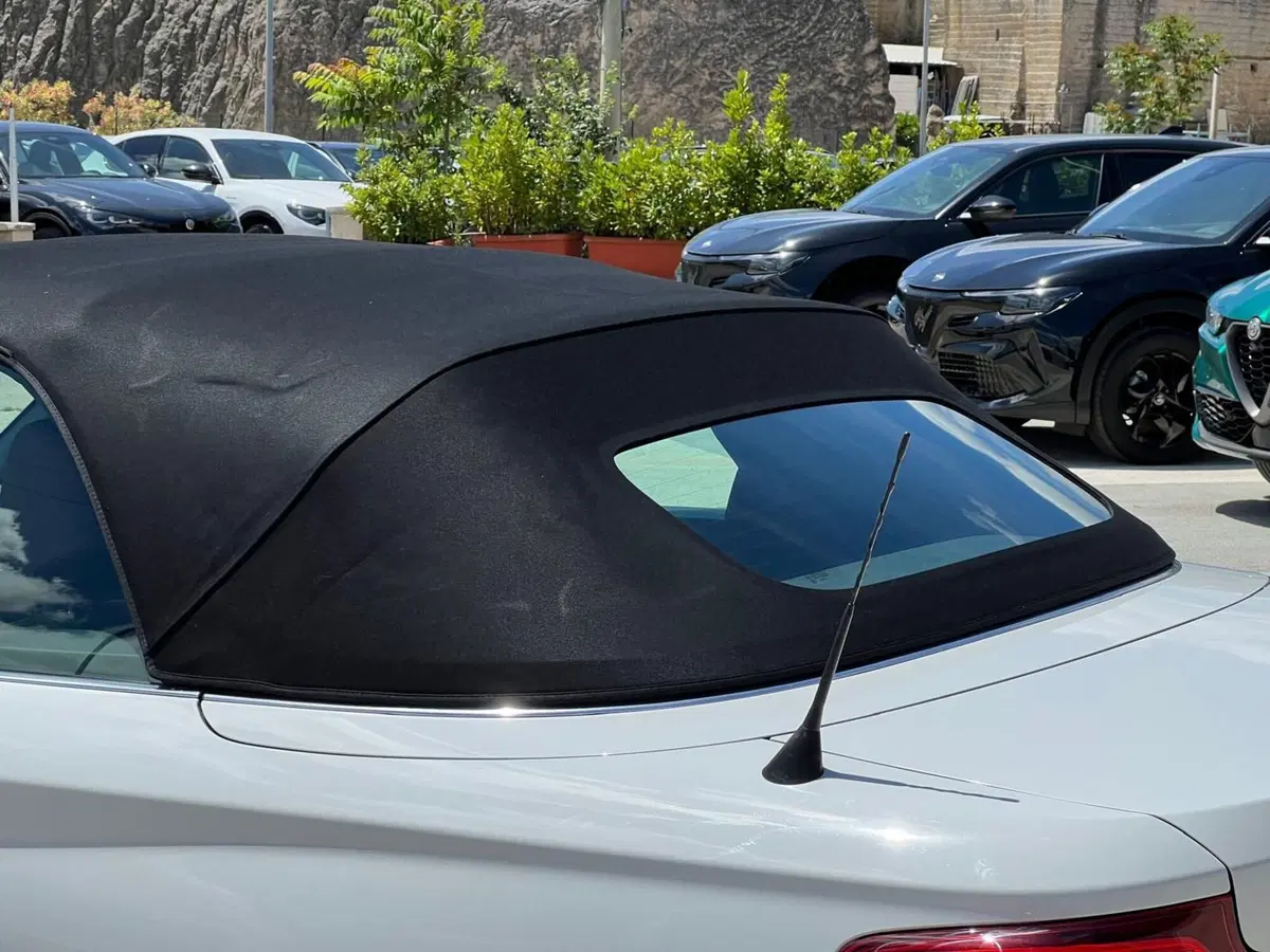 BMW Serie 2 Cabrio usata a Matera (16)