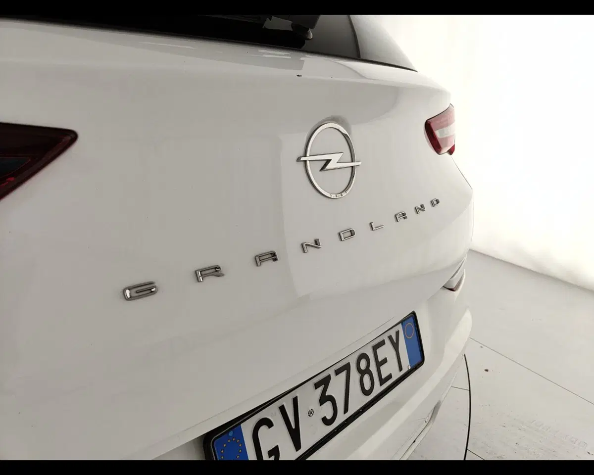 Opel Grandland usata a Caserta (10)