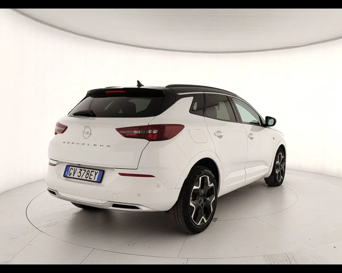 Opel Grandland usata a Caserta (7)
