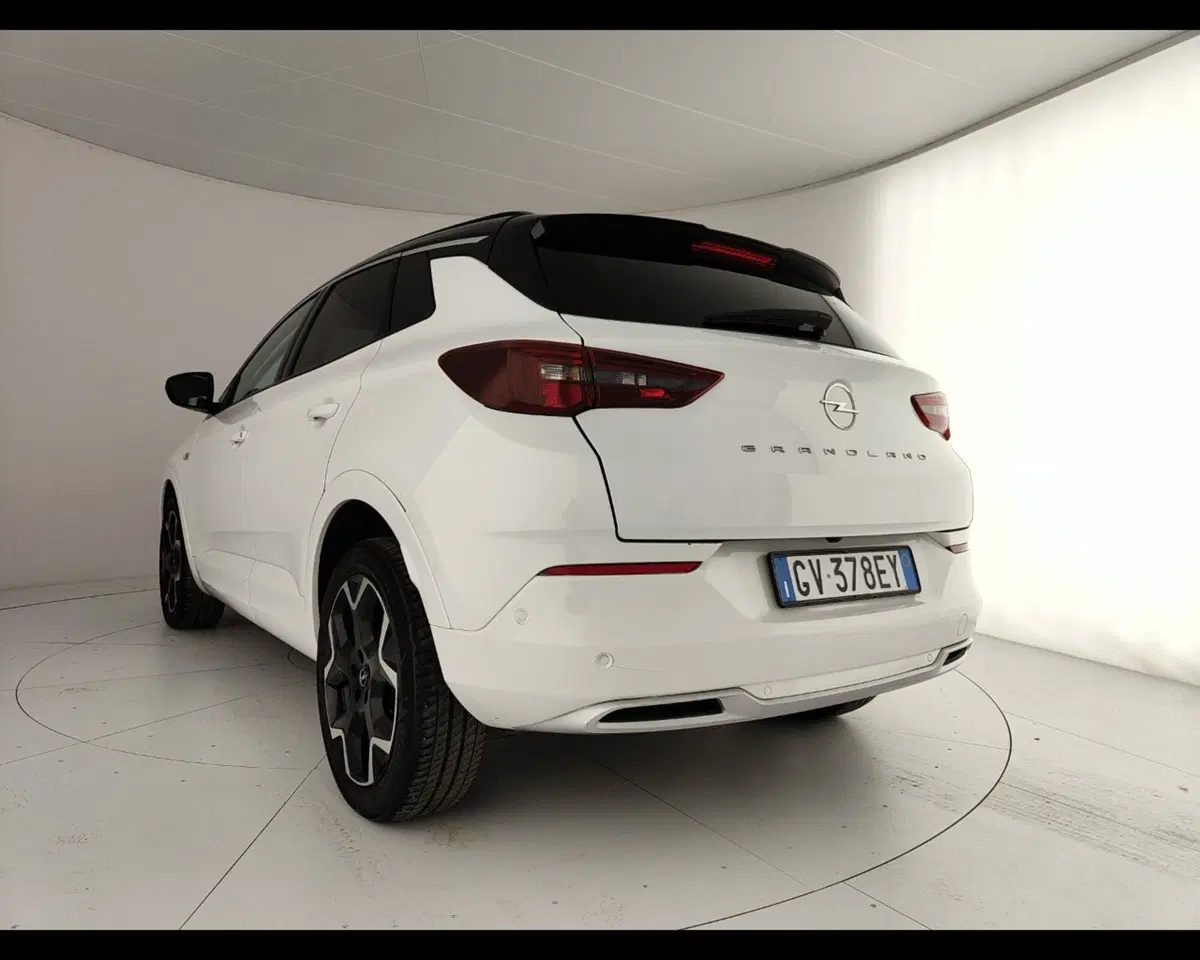 Opel Grandland usata a Caserta (9)