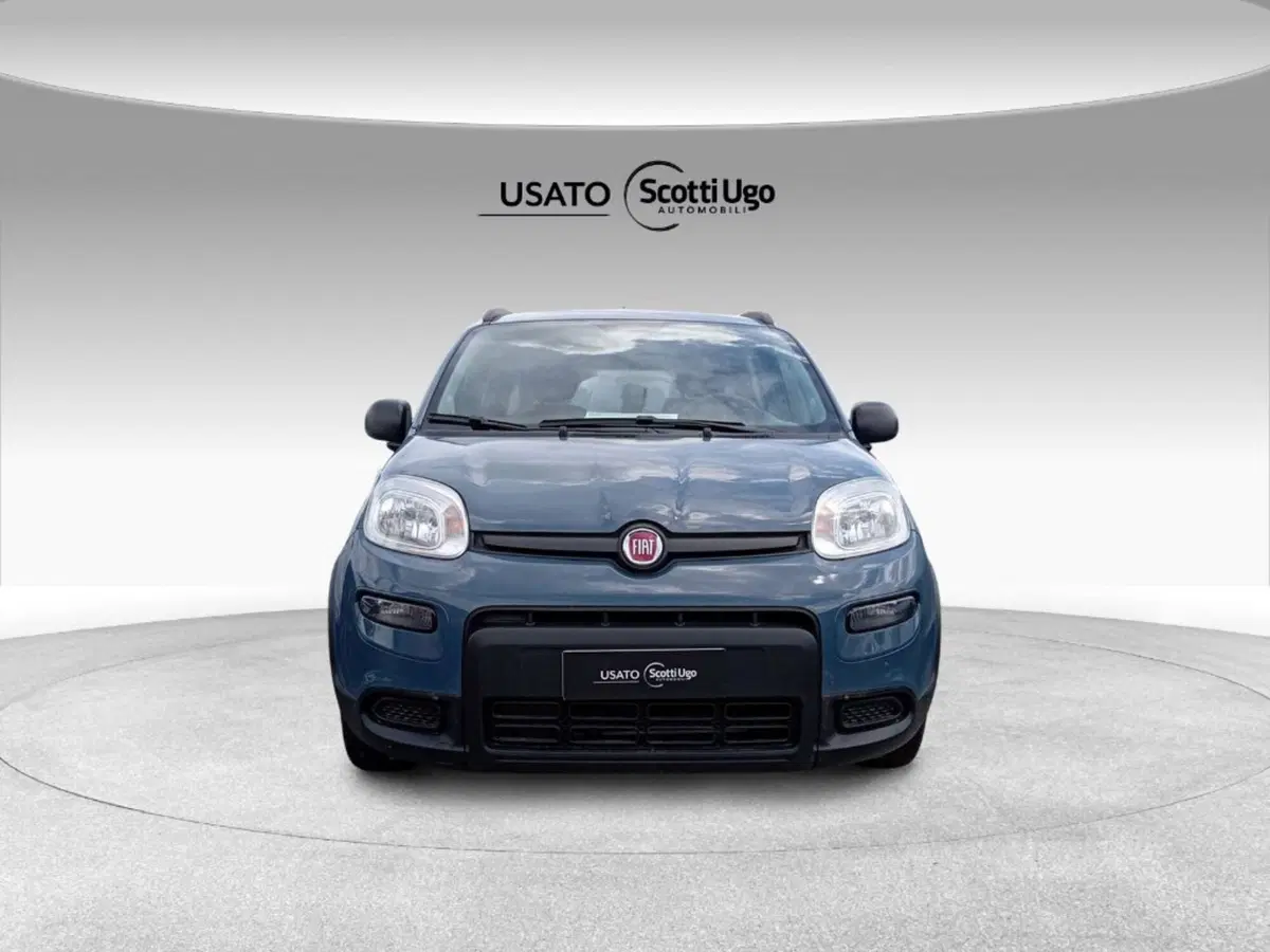 Fiat Panda usata a Siena (2)