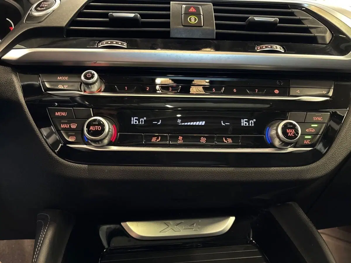 BMW X4 usata a Chieti (14)