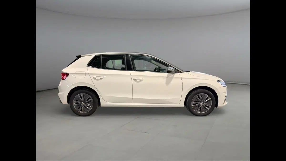 Skoda Fabia usata a Palermo (12)