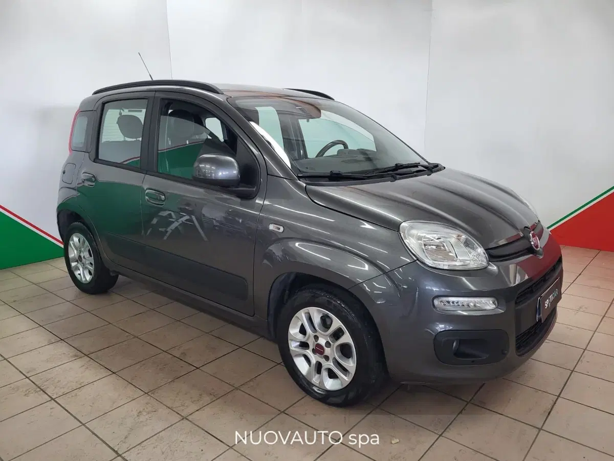 Fiat Panda usata a Arezzo (2)