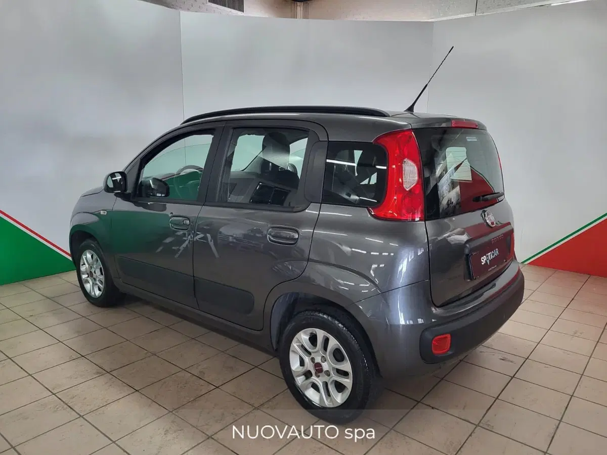 Fiat Panda usata a Arezzo (4)