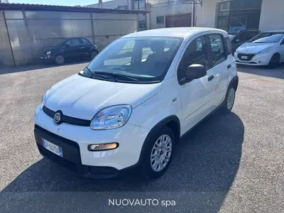 Fiat Panda Cross Cross 1.0 FireFly S&amp;S Hybrid del 2024 usata a Terranuova Bracciolini