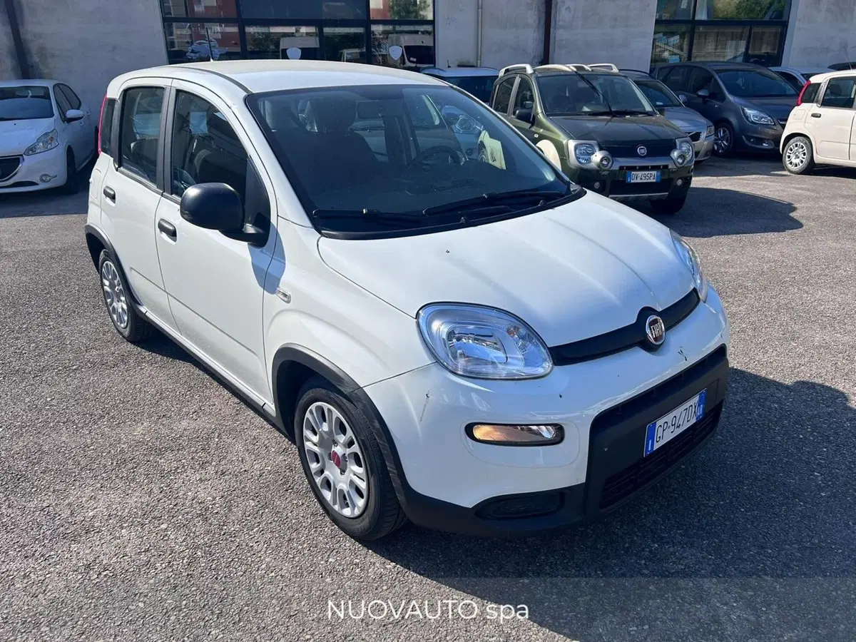 Fiat Panda Cross usata a Arezzo (2)