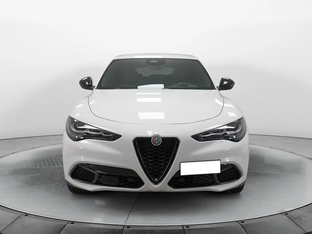Alfa Romeo Stelvio usata a Varese (2)