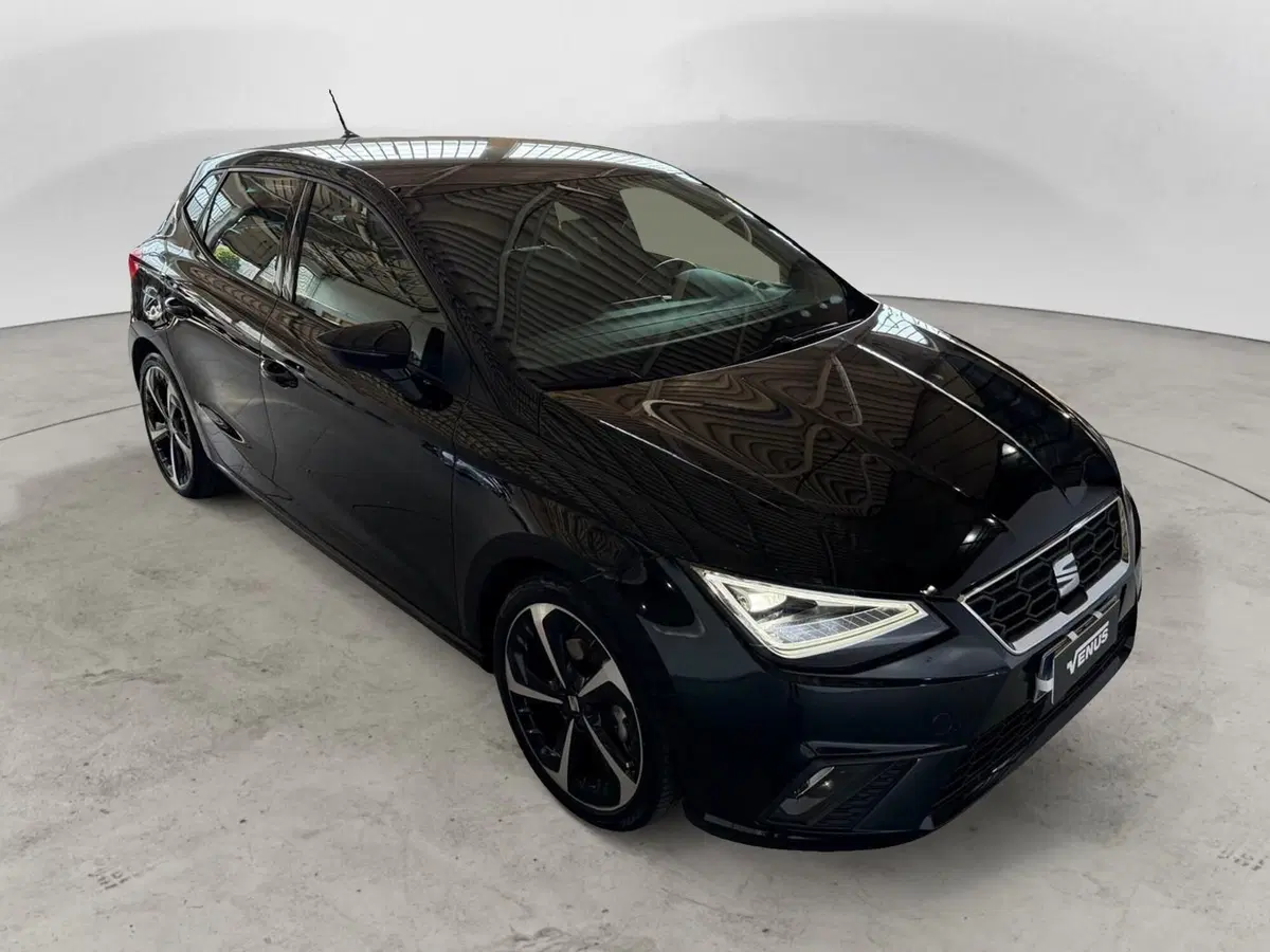 SEAT Ibiza usata a Monza e Brianza (17)