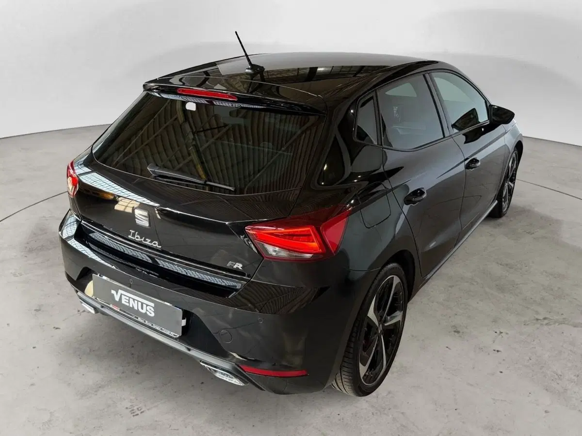 SEAT Ibiza usata a Monza e Brianza (6)