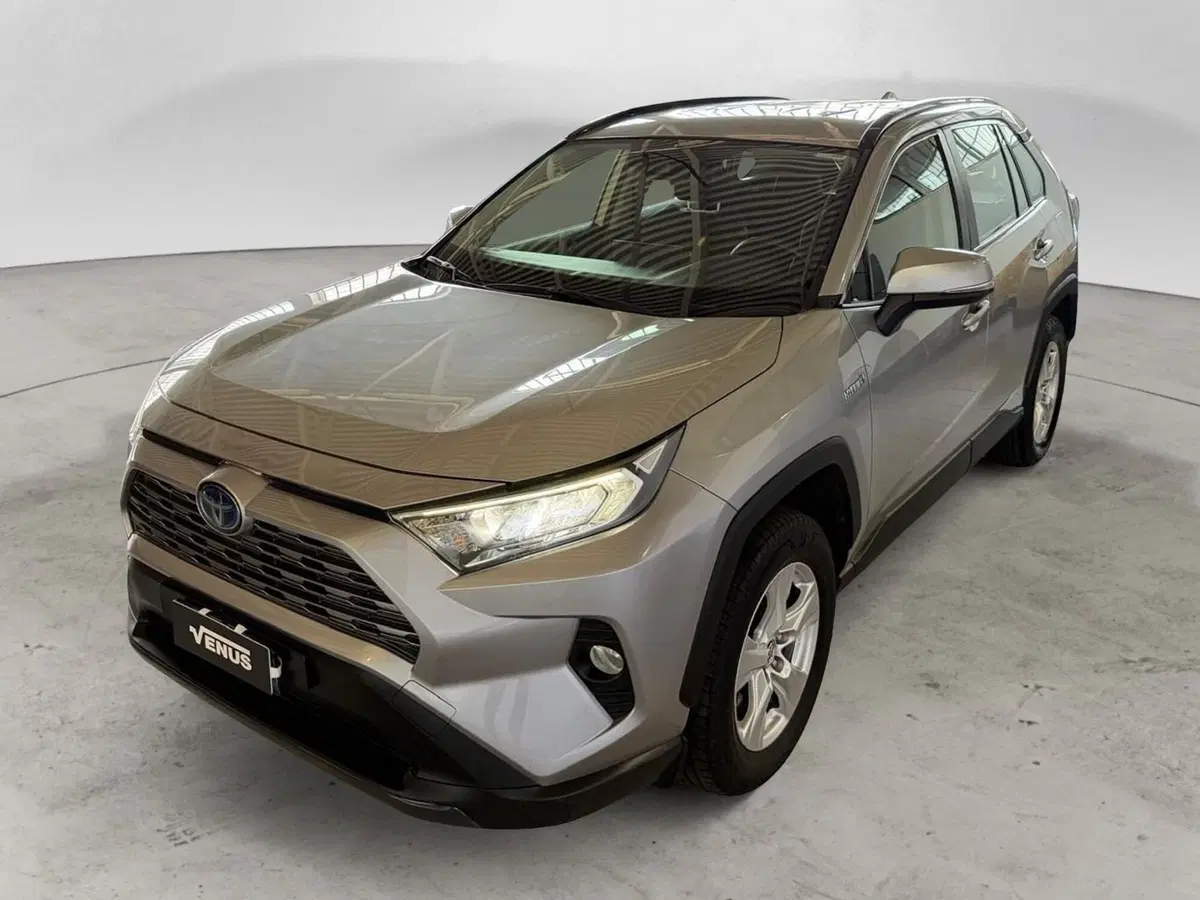 Toyota Rav4 usata a Monza e Brianza (2)