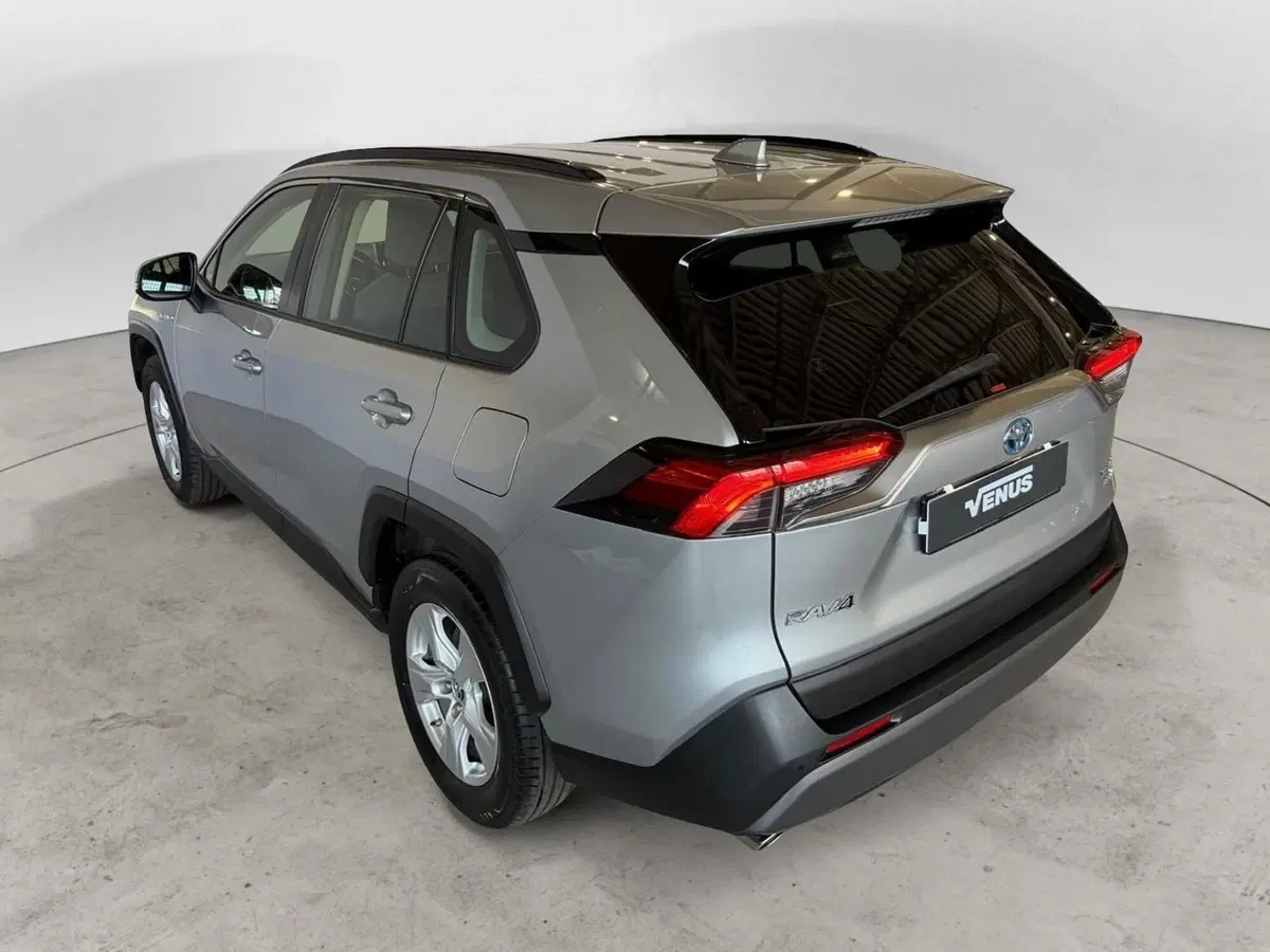 Toyota Rav4 usata a Monza e Brianza (4)